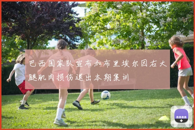 巴西国家队宣布加布里埃尔因右大腿肌肉损伤退出本期集训