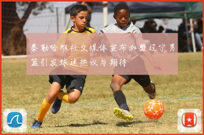 泰勒哈维社交媒体宣布加盟辽宁男篮引发球迷热议与期待