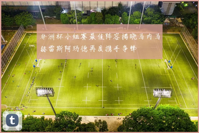 非洲杯小组赛最佳阵容揭晓马内马赫雷斯阿玛德再度携手争锋
